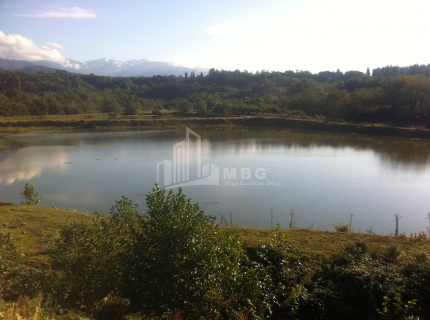 For Sale Land, Zeda Bakhvi, Ozurgeti Municipality, Municipalities of Guria