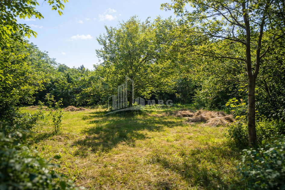 For-Sale-Land-Mchadijvari-village-Dusheti-Mtskheta---Mtianeti