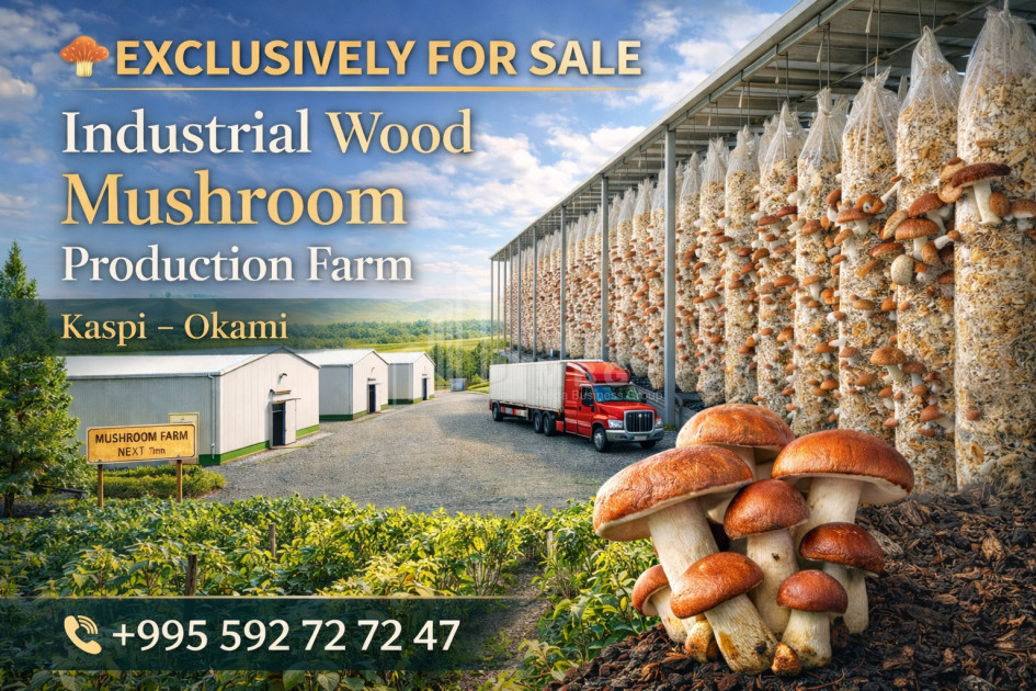 Продается Грибная фабрика Коммерческий В Оками, Каспси
