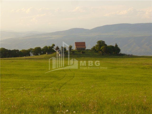 For Sale Land Tserovani village Skhaltba Mtskheta Mtskheta   Mtianeti