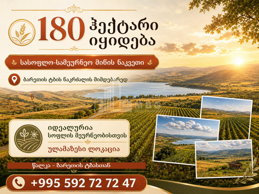 For Sale Agricultural Land In Tsalka