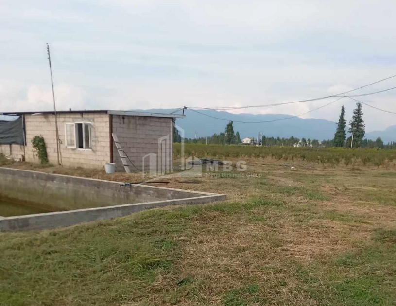 For Sale Land Zugdidi Samegrelo   Upper Svaneti