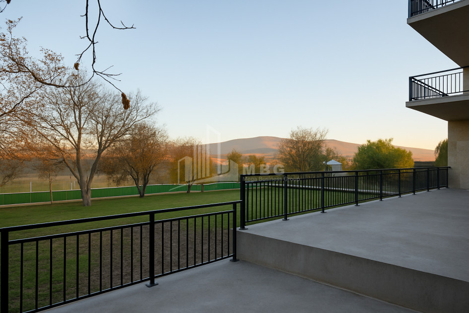 For Sale Commercial Bazaleti Dusheti Mtskheta   Mtianeti