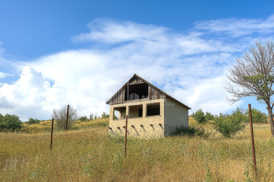 For Sale Land Iltosa village Dusheti Mtskheta   Mtianeti