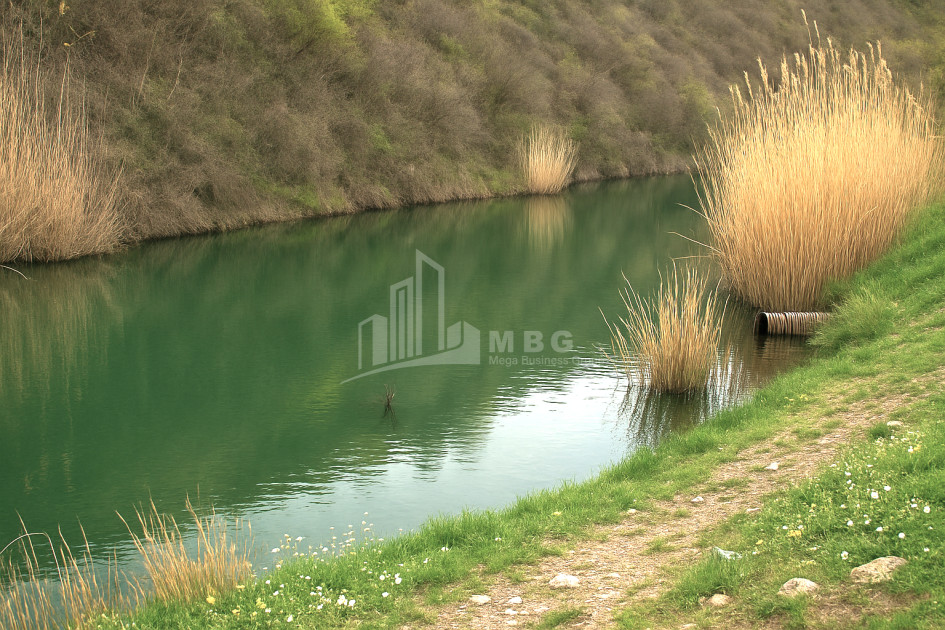 For Sale Land Gachiani Gardabani Kvemo Kartli