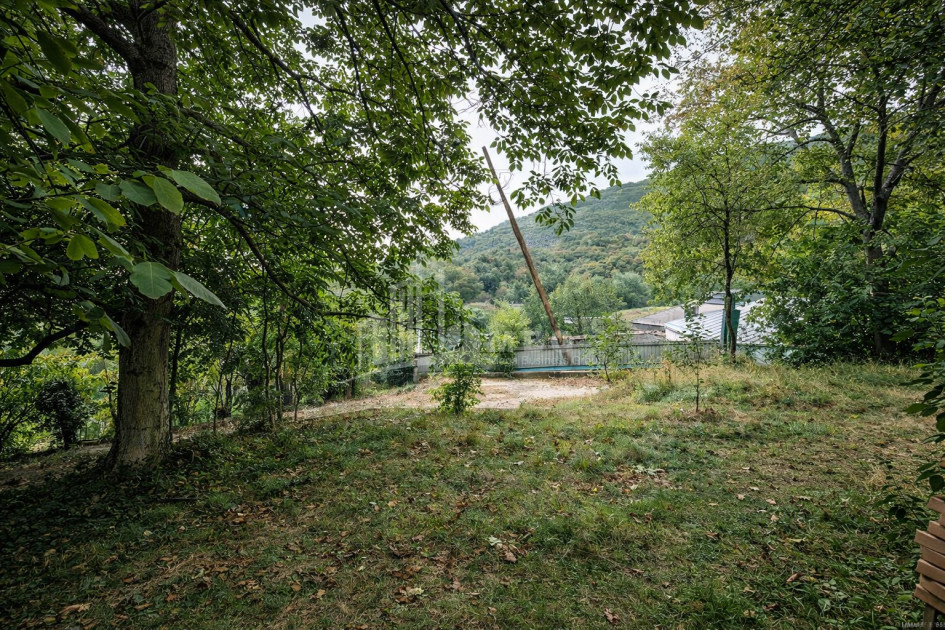 For Sale Old building House - Villa In Sagarejo