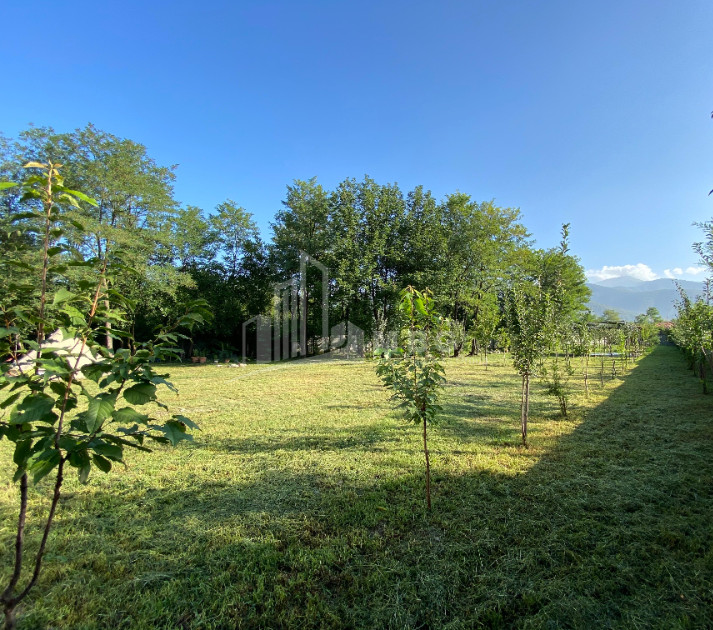 იყიდება ბიზნესი კომერციული ფართი თელავი კახეთი