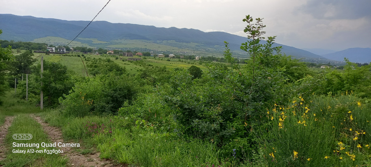 იყიდება მიწის ნაკვეთი, წინამძღვრიანთკარი, მცხეთის მუნიციპალიტეტი, მცხეთა - მთიანეთი