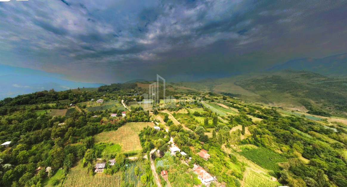 იყიდება მიწის ნაკვეთი ზემო ჟოშხა ამბროლაური რაჭა