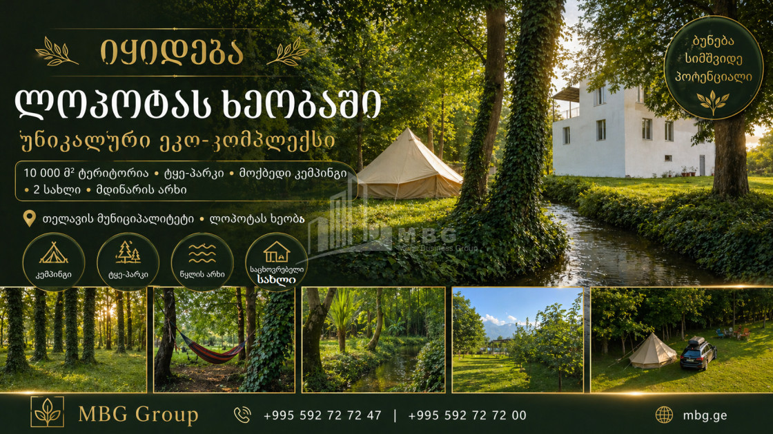 Business/Investment for Sale Leisure _ Entertainment complex Commercial In Telavi