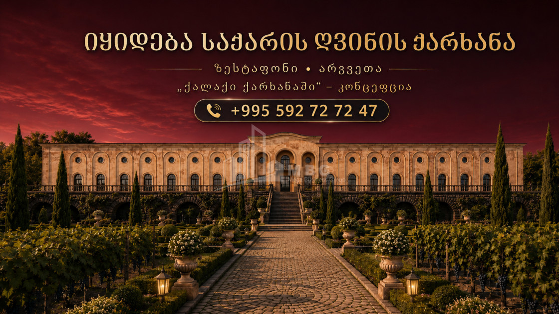 For Sale Chateau / Wine factory Commercial In the Village Argveta, Zestaponi