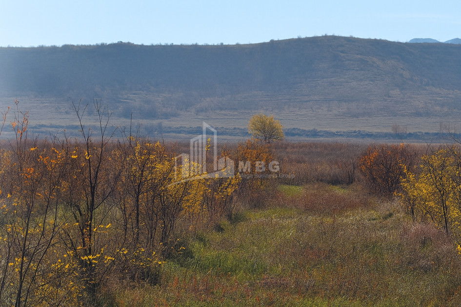 იყიდება მიწის ნაკვეთი სოფელი შაუმიანი მარნეული ქვემო ქართლი