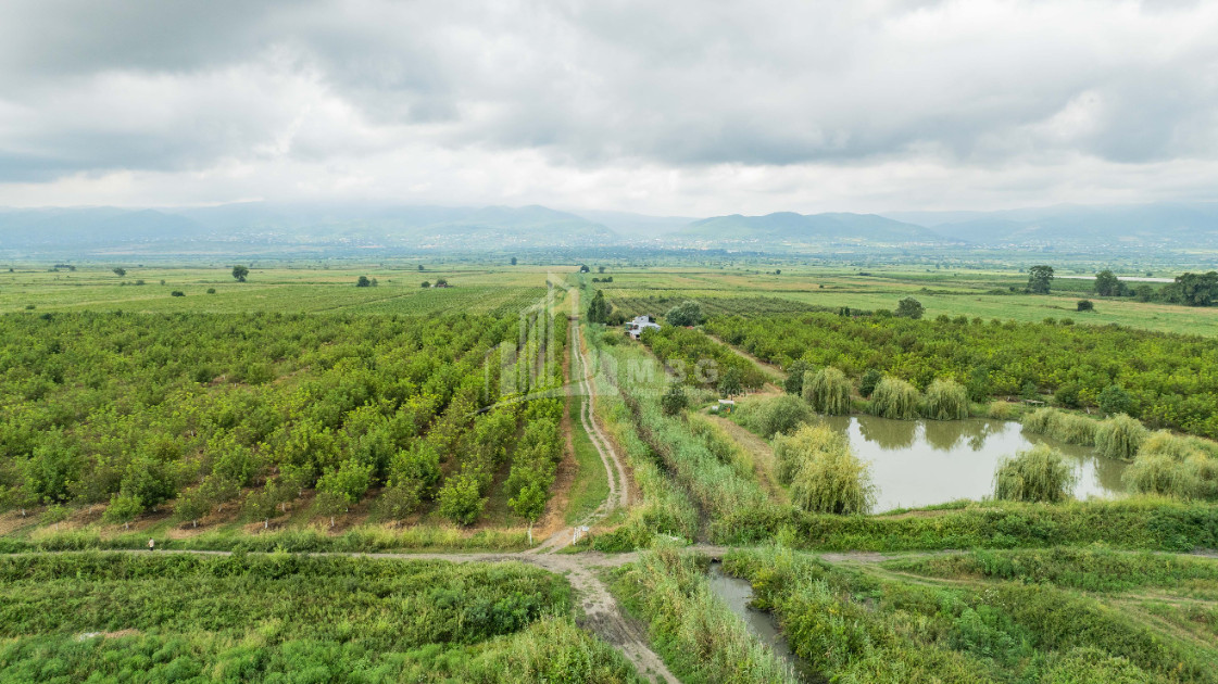 For Sale Land Kakheti