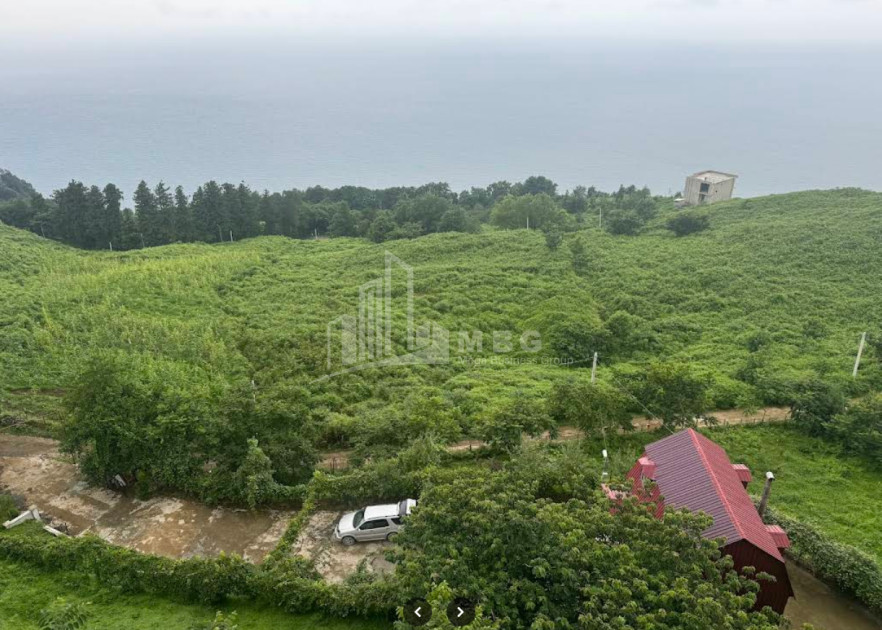 იყიდება კომერციული - არასასოფლო მიწის ნაკვეთი სარფში, ხელვაჩაური