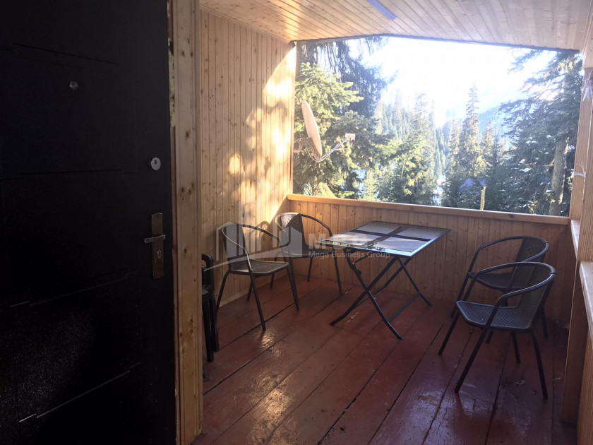 Daily Rent House - Villa, in Bakhmaro