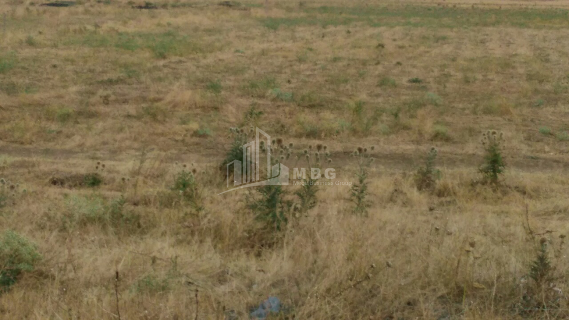 For Sale Orchards Land, in Kumisi