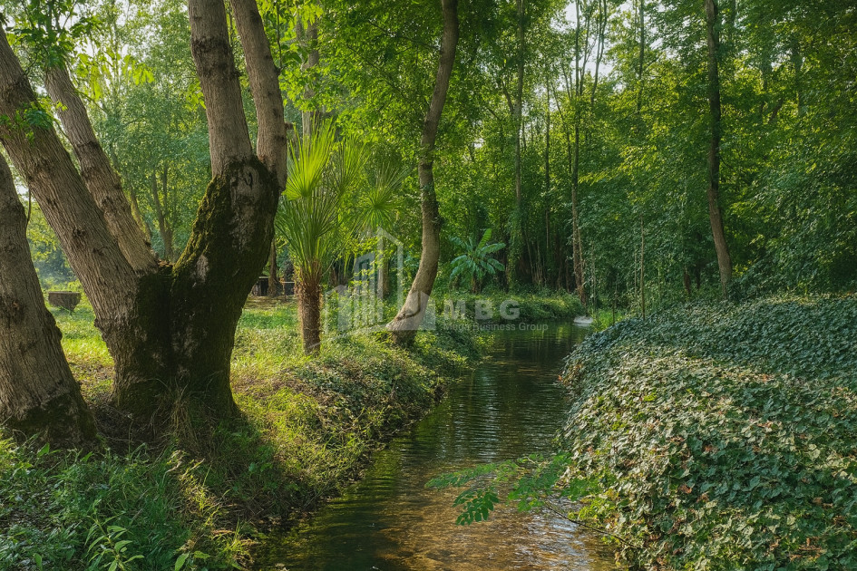 იყიდება ბიზნესი კომერციული ფართი თელავი კახეთი