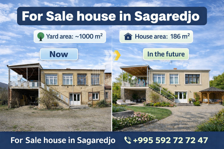 For Sale Old building House - Villa In Sagarejo