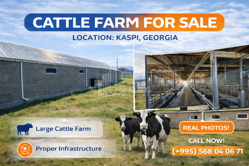 For Sale Commercial Metekhi Kaspi Shida Kartli