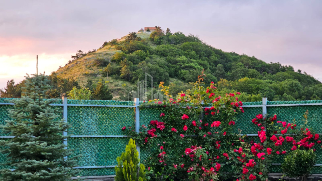 Продается Дом - Вилла В Коджори, Мтацминда Район