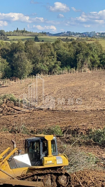 For Sale Blueberry orchard Land In Baileti, Ozurgeti