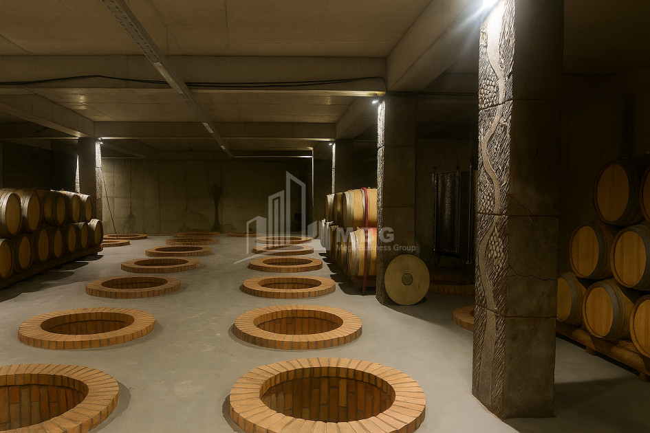 Продается Коммерческий Охио Ахмета Кахети