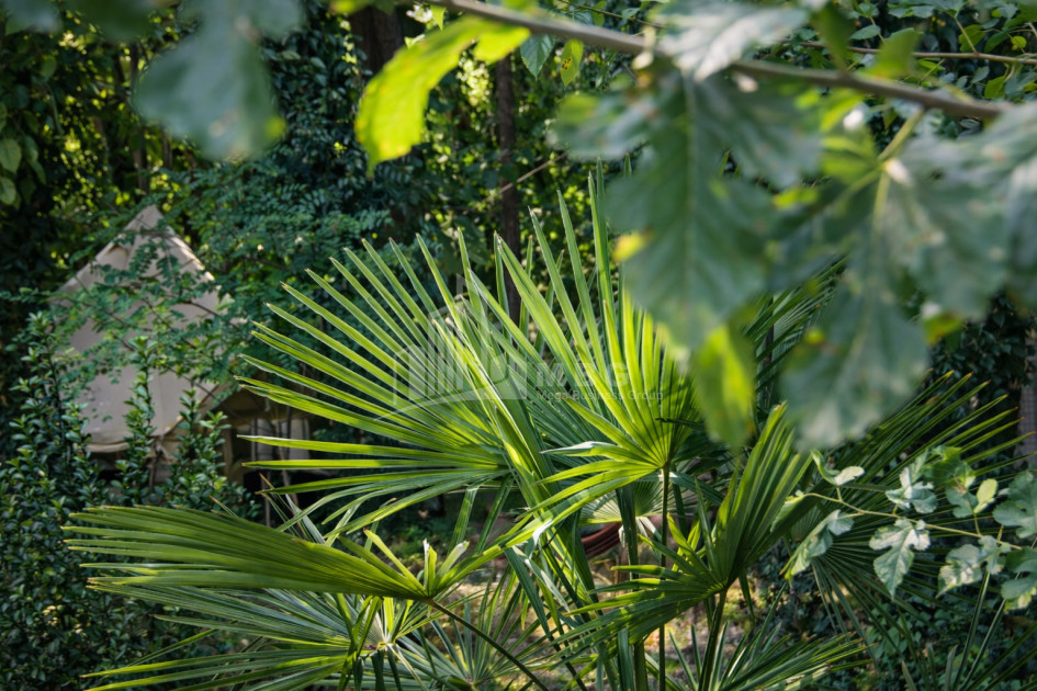 Business for sale Commercial Telavi Kakheti