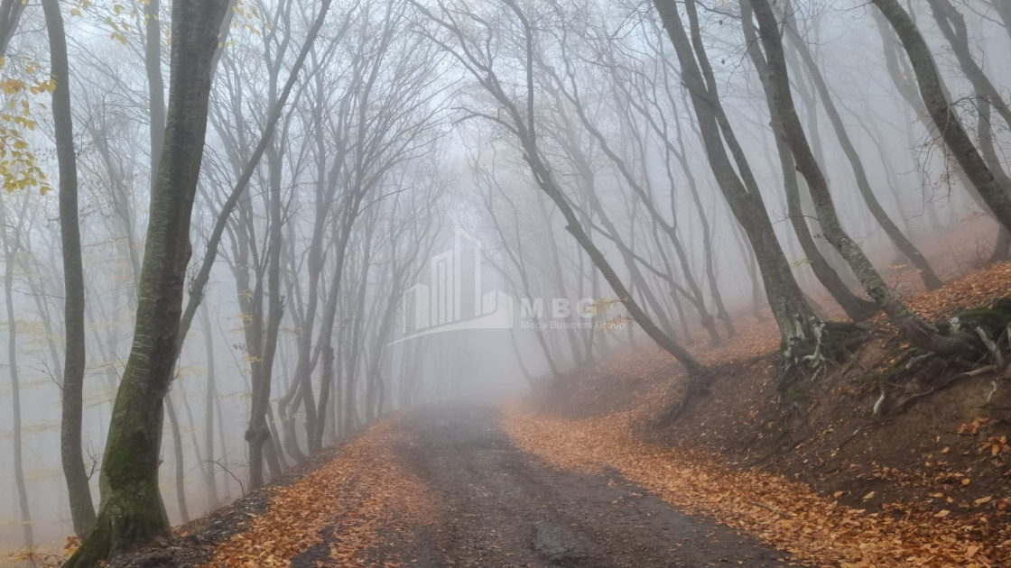 Продается Дом - Вилла В Коджори, Мтацминда Район
