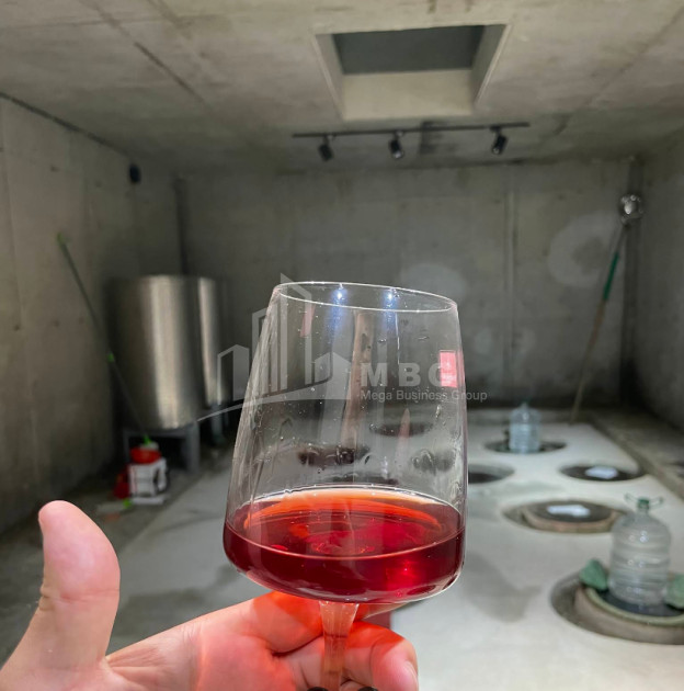 იყიდება შატო / ღვინის ქარხანა / მარანი კომერციული ფართი საგურამოში, მცხეთა