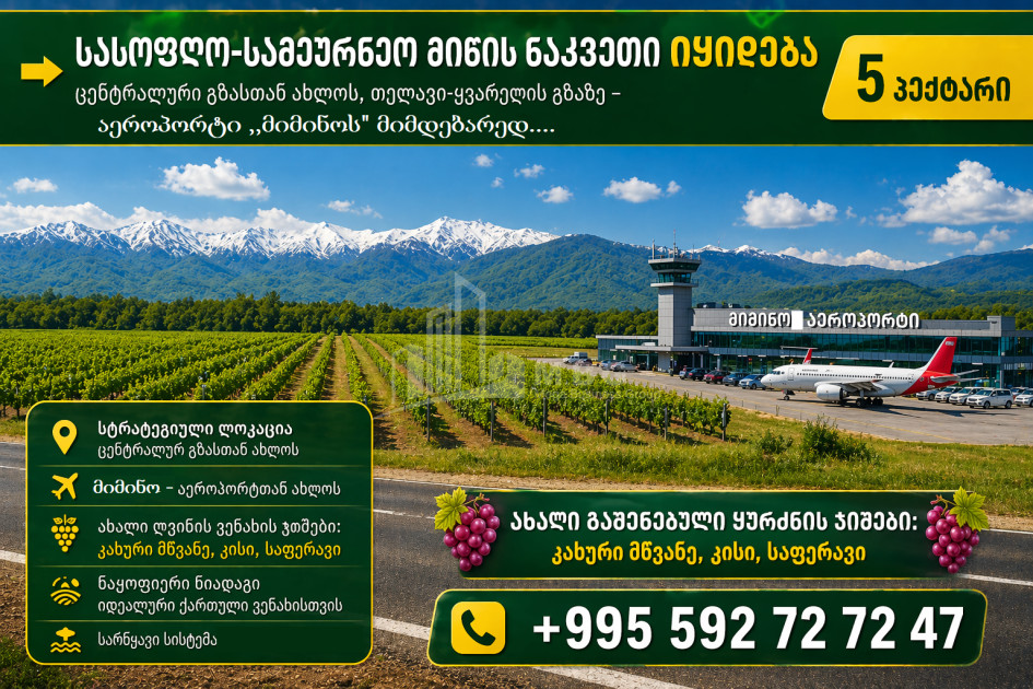 For Sale Vineyard - Chateau Land In Telavi