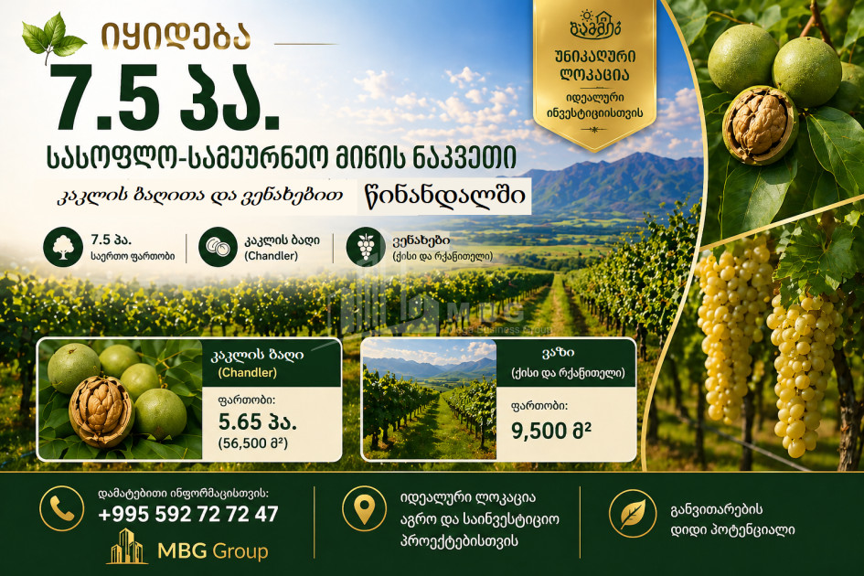 For Sale Orchards Land In Tsinandali, Telavi