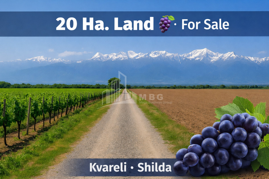 For Sale Land Eniseli Kvareli Kakheti