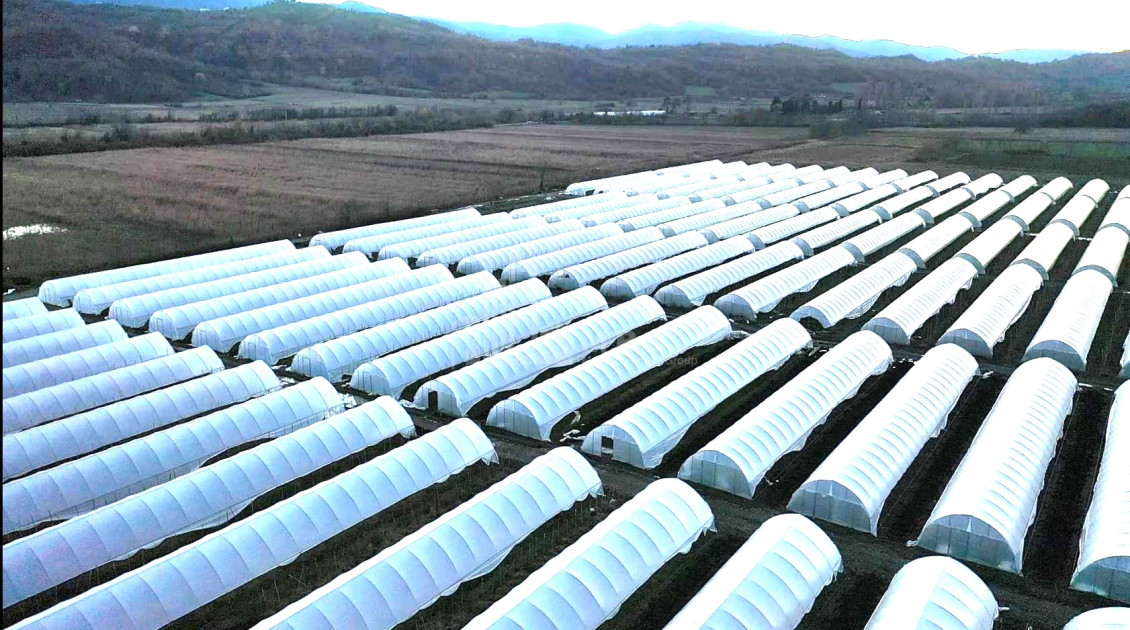 For Sale Land Vani Imereti