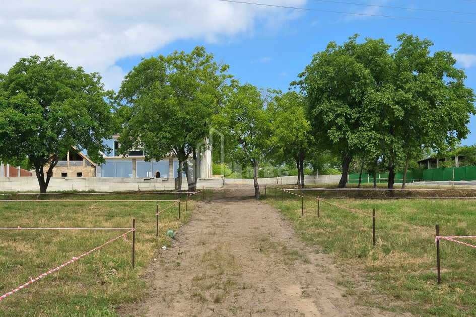 For Sale Commercial Bazaleti Dusheti Mtskheta   Mtianeti