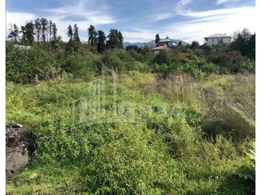 For Sale Country Land, in Chakvistavi