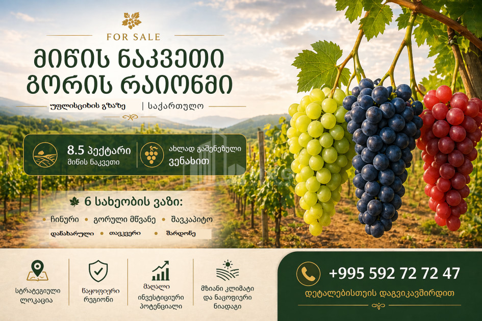 იყიდება სავენახე - საშატოე მიწის ნაკვეთი გორში