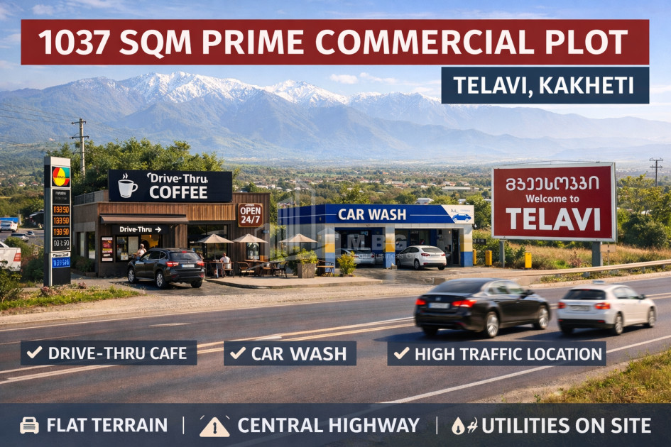 For Sale Land Telavi Kakheti