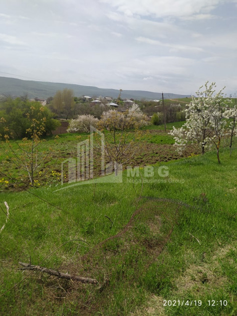 For Sale Country Land, in Tetritskaro