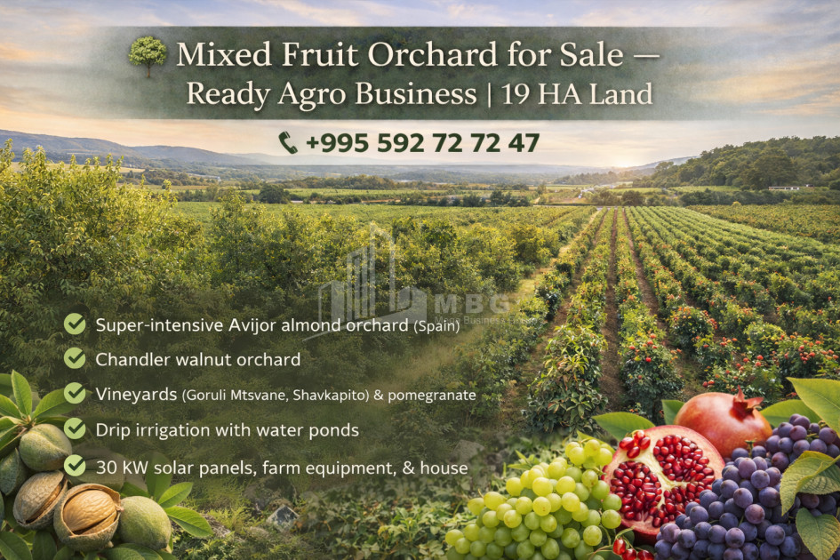 იყიდება მიწის ნაკვეთი სოფელი შაუმიანი მარნეული ქვემო ქართლი