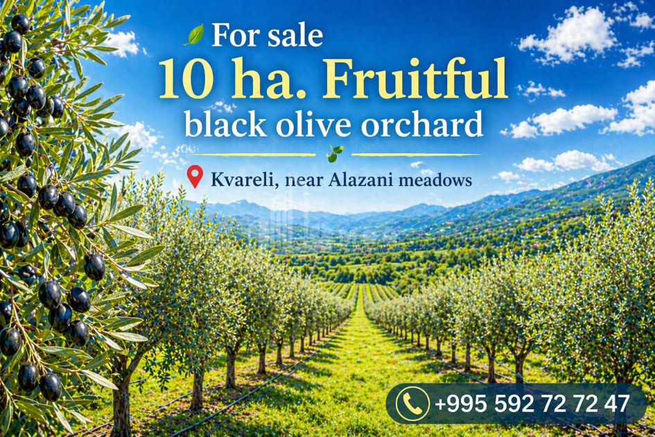 Продается Фруктовые сад Земля В Кварели