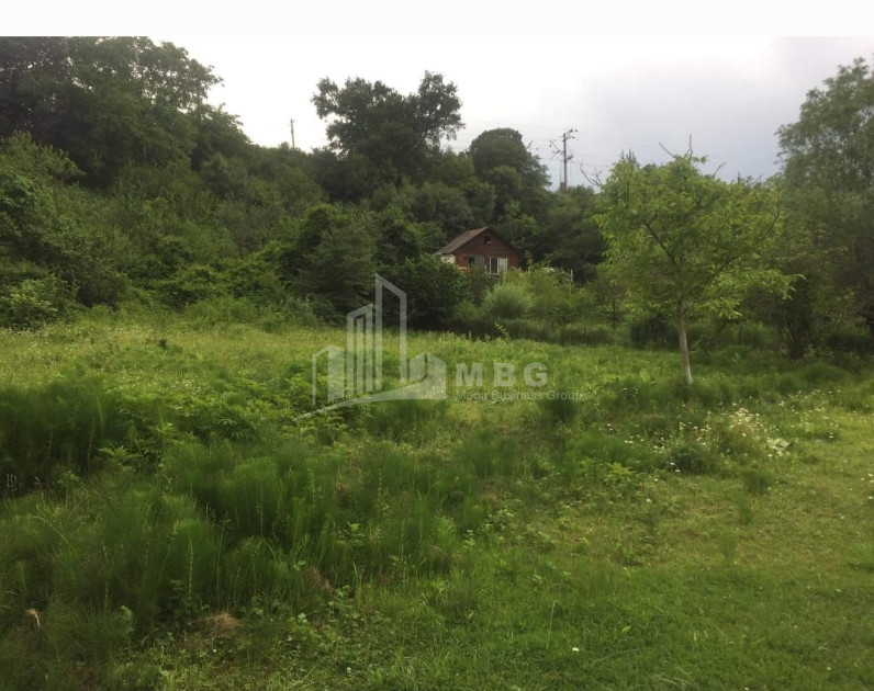 For Sale House Villa Dzegvi Mtskheta Mtskheta   Mtianeti