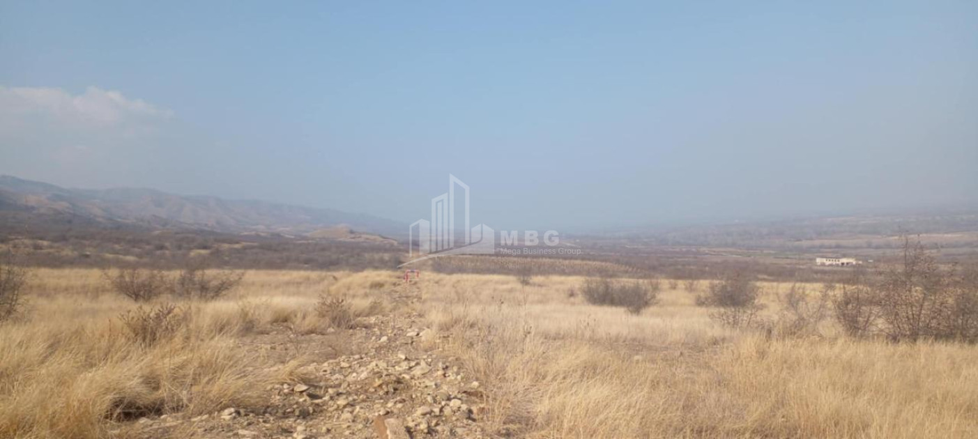 For Sale Land Samtatskaro Dedoplistskaro Kakheti