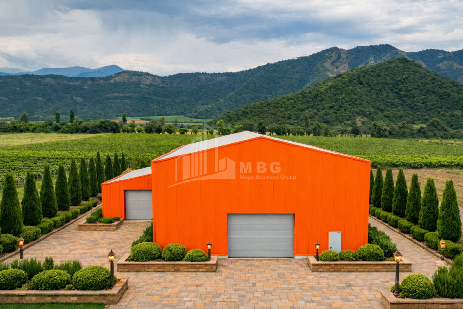 იყიდება მიწის ნაკვეთი ნაფარეული თელავი კახეთი