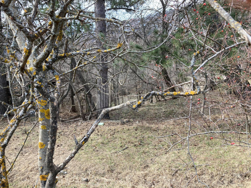 For Sale Residential Land, in Kojori