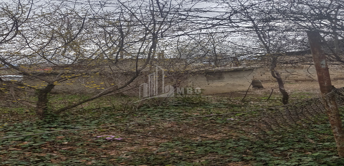 იყიდება სამოსახლო მიწის ნაკვეთი, სვანეთის უბანი