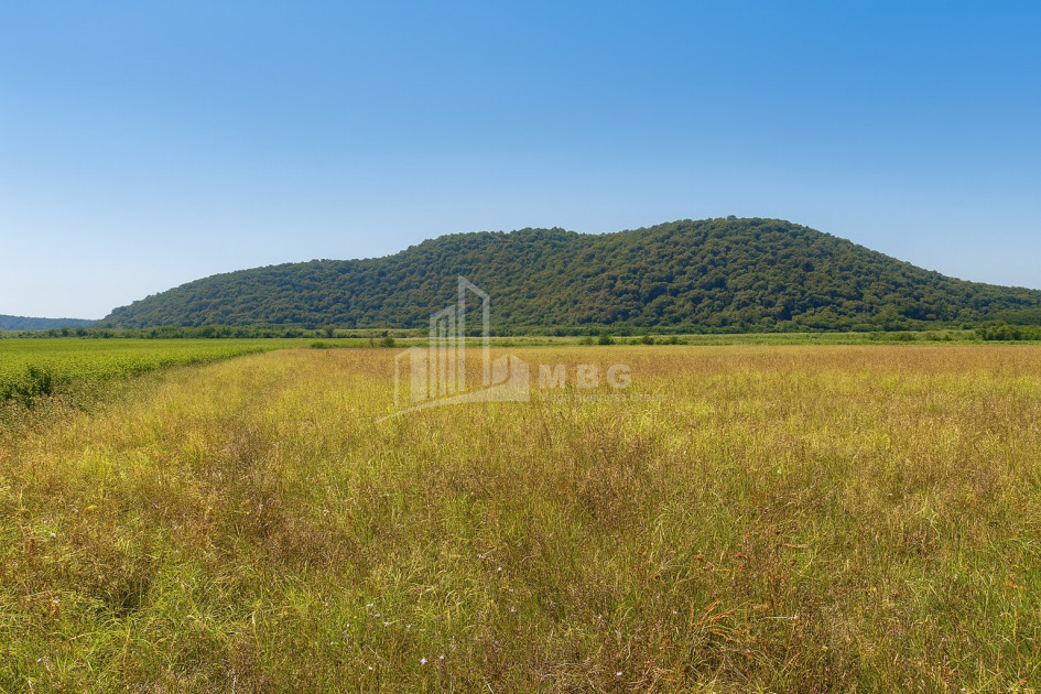 For Sale Land Gremi Kvareli Kakheti