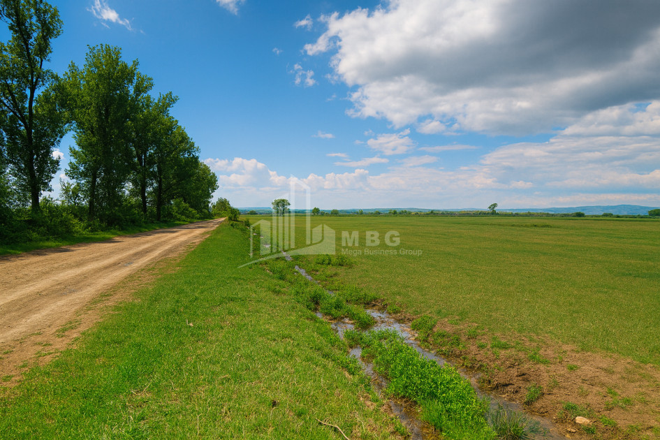 იყიდება მიწის ნაკვეთი მანავი საგარეჯო კახეთი