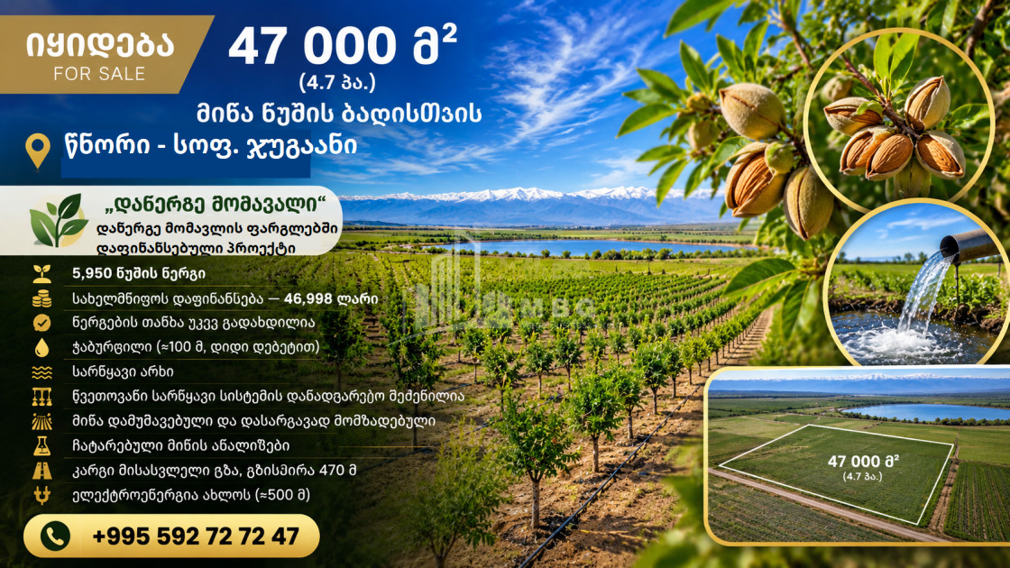 For Sale Agricultural Land In Jugaani, Signagi
