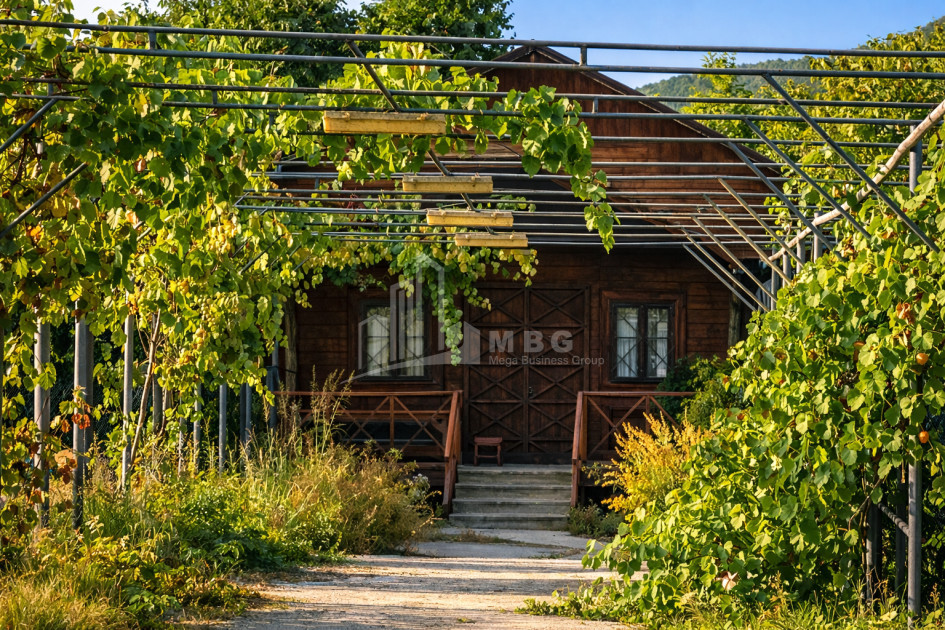 For Sale Old building House - Villa In the Village Choporti, Dusheti