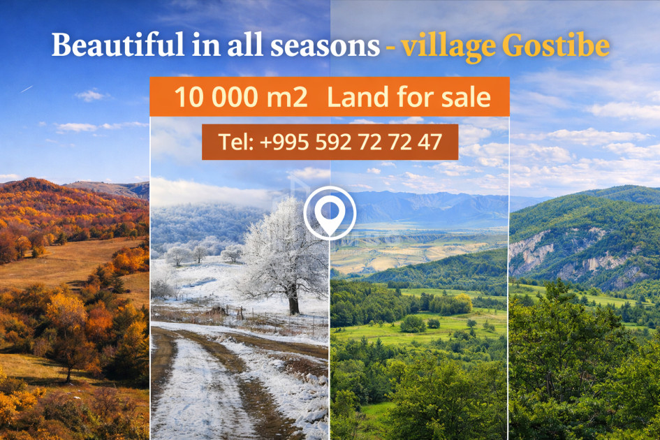 For Sale Land Zemo Gostibe Kaspi Shida Kartli